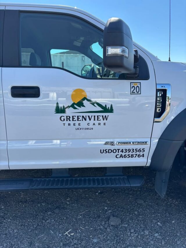 Branded, Equipped, and Ready for Any Job 🌳

#greenviewtreecare #TreeCareExperts #marincounty #TreeService #sonomacounty #napacounty