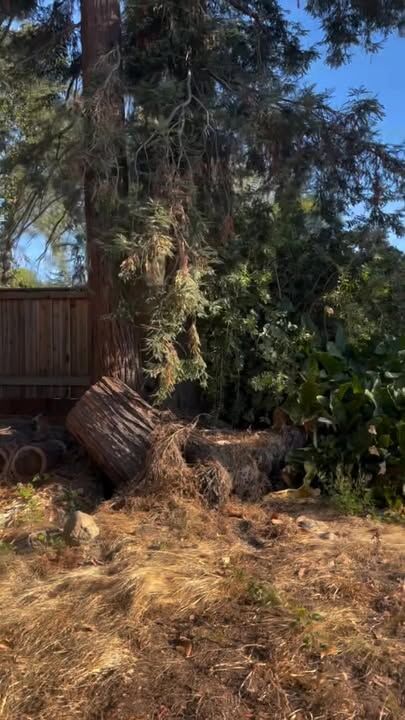 Big Redwood Tree Removal in Napa!

#greenviewtreecare #sonomacounty #treeexperts #napacounty #marincounty #LicensedAndInsured
