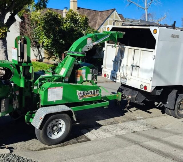 Get your Tree Service done right with Greenview Tree Care.